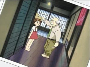 Episodio 19