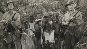 Zamba — foto 1