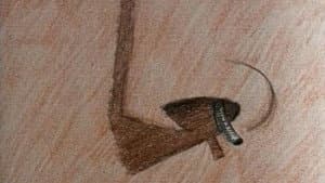 Nosehair — foto 1