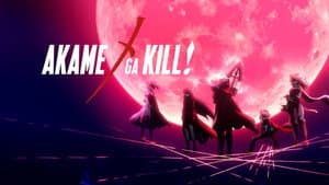 Akame ga Kill! — foto 2