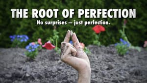 The Root of Perfection — foto 1