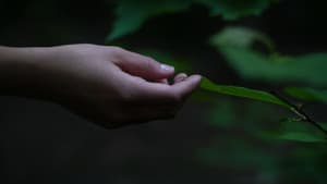 Liminal Girl — foto 4