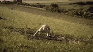 Debris Documentar — foto 1
