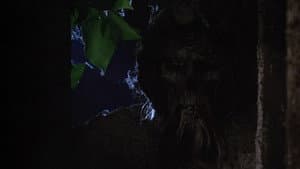 La noche del terror ciego — foto 5
