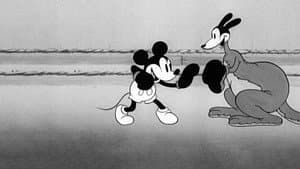 El canguro de Mickey — foto 7