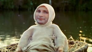 Otto - Der Katastrofenfilm — foto 1