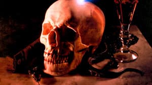 Gothic — foto 12