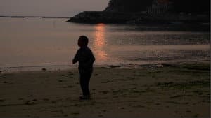 춤추는 거북이 — foto 1