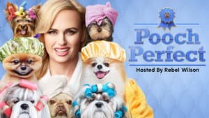 Pooch Perfect — foto 4