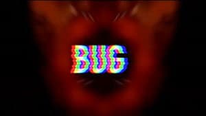 Bug — foto 1