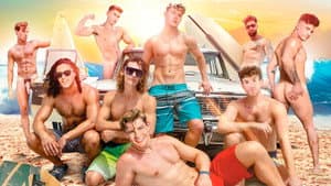 Falcon's Endless Summer — foto 1