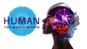 Cuerpo humano: Un mundo entrañable — foto 3