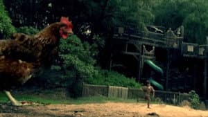 Chicken Park — foto 1