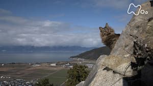 Episodio 125
