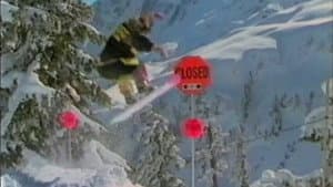 Totally Board — foto 3