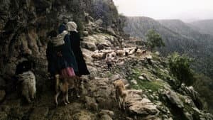 People of the Wind — foto 1