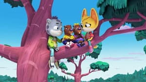 Misterios Animales — foto 11