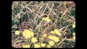 Eco de la Memoria Perdida — foto 4