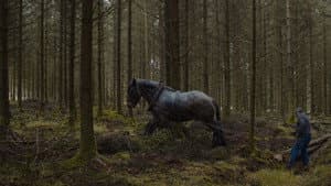 Arbres — foto 1