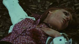 Una farfalla con le ali insanguinate — foto 2