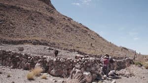 Agua para la vida. La lucha de Ayllu San Agustín de Puñaca — foto 1