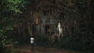 Okurimono — foto 7