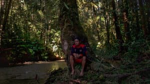 Uprooted - The Olympic Tribe — foto 2