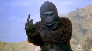 Ape — foto 1
