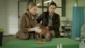 Episodio 12