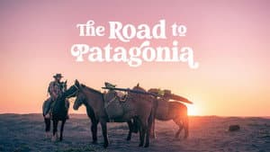 The Road to Patagonia — foto 3