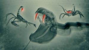 World's Most Toxic Animals — foto 1