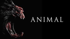 Animal — foto 8