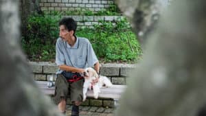 老人與狗 — foto 1