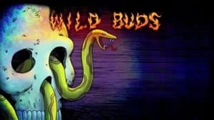 Episodio 24