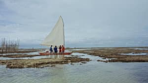 Ammodo Docs — foto 1