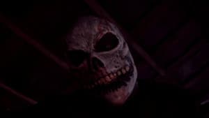 Headless — foto 6
