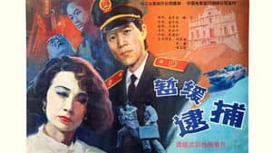 暂缓逮捕 — foto 1