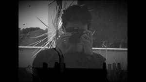 Urubu(s) — foto 2