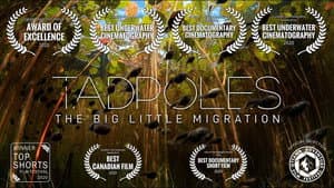 Tadpoles: The Big Little Migration — foto 2