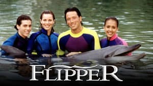 Flipper — foto 1
