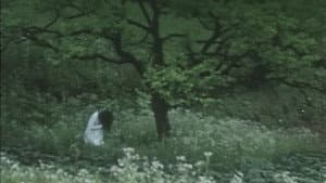 EMOTION 伝説の午後＝いつか見たドラキュラ — foto 11