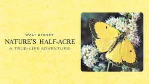 Nature's Half Acre — foto 4