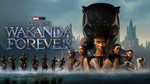 Pantera Negra: Wakanda por siempre — foto 8