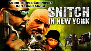 Snitch in New York — foto 1