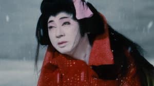 雪之丞変化 — foto 1