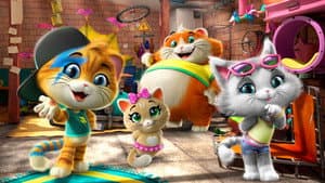 44 gatos — foto 1
