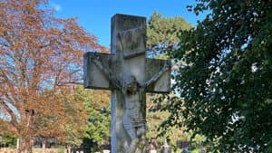 Dead to the World — foto 1
