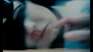 花樣年華2001 — foto 10