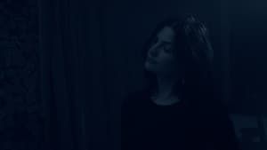 محض لقاء — foto 5