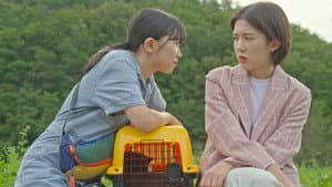 냉장고 안의 코끼리 — foto 1